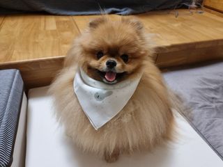 아롱이님이 올린 리뷰 사진 2