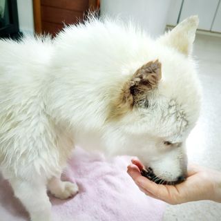 차차님이 올린 리뷰 사진 1