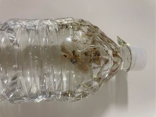 서울로이님이 올린 리뷰 사진 1