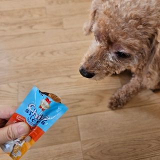 프리[칙스틱](닭고기 데리야끼맛/ 닭고기와 야채맛 두가지맛 각2ea제공) — 5점을 준 리뷰어가 2024년 8월 올린 사용 사진
