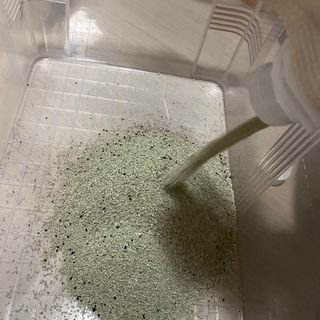 모너아리님이 올린 리뷰 사진 3