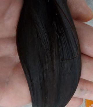 두랭님이 올린 리뷰 사진 2