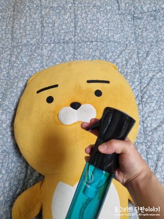 동그리동동님이 올린 리뷰 사진 2