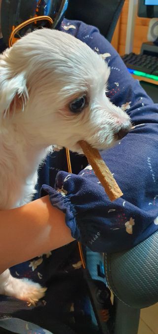 KanginLee님이 올린 리뷰 사진 4