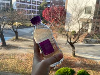 몽베스트 [MONTBEST] 330mL 20병 & 블랜딩 콤부차 달콤 4종 — 5점을 준 리뷰어가 2024년 11월 올린 사용 사진