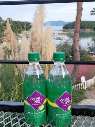 몽베스트 Montbest with Sparkling water Lemon OR Lime 20병(랜덤) — 5점을 준 리뷰어가 2021년 10월 올린 사용 사진