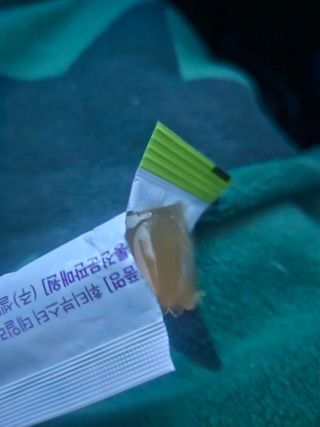 [1박스 구매평] 휘티부스터 데일리 샤인 스틱 선&브라이트닝 케어 이너뷰티 — 5점을 준 리뷰어가 2025년 8월 올린 사용 사진