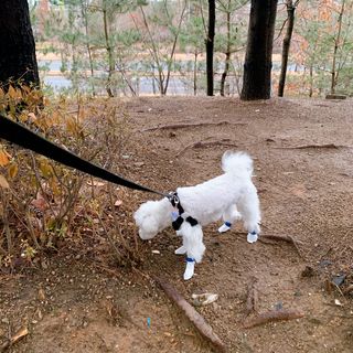 임휘경님이 올린 리뷰 사진 2