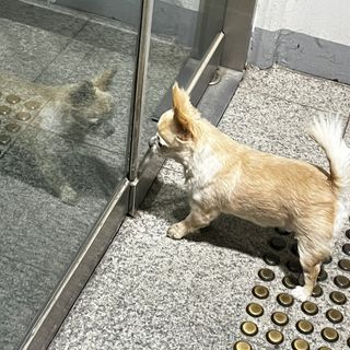 Lucy님이 올린 리뷰 사진 3
