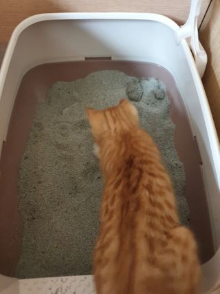 나이스님이 올린 리뷰 사진 4