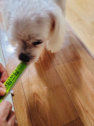 뾰로롱꼬마마녀님이 올린 리뷰 사진 3