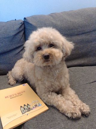 리리코찡님이 올린 리뷰 사진 3