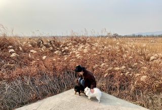 인스타님이 올린 리뷰 사진 2