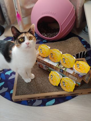 홍제이님이 올린 리뷰 사진 1