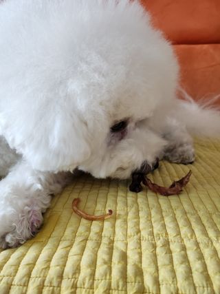 꾸꾸엄마님이 올린 리뷰 사진 3