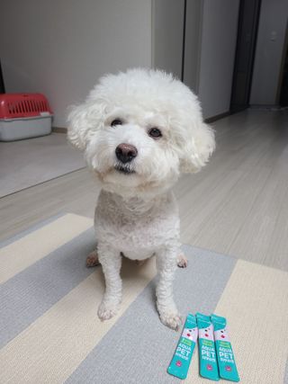 펫시랩 반려견용 액상 프리바이오틱스 아쿠아펫 — 5점을 준 리뷰어가 2021년 1월 올린 사용 사진