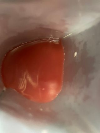 은당님이 올린 리뷰 사진 4