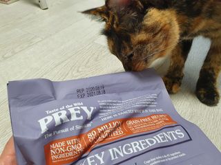 천도님이 올린 리뷰 사진 1