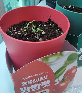 kikiday님이 올린 리뷰 사진 2