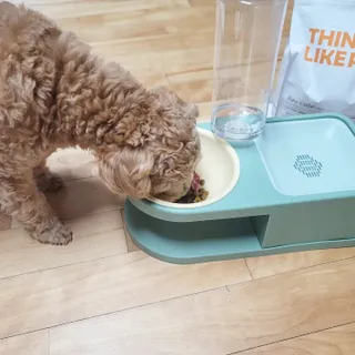 씽크라이크펫 큐브생식 1kg — 5점을 준 리뷰어가 2022년 11월 올린 사용 사진