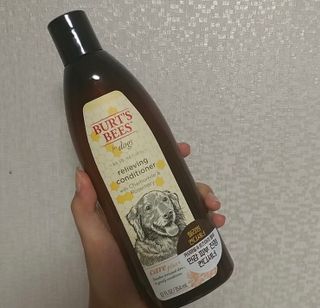 여름님이 올린 리뷰 사진 1