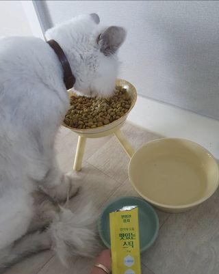 이수빈님이 올린 리뷰 사진 2