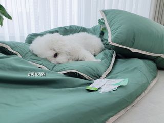 ChoreumKim님이 올린 리뷰 사진 3