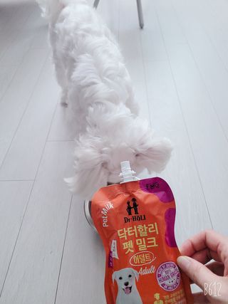 바이에이미님이 올린 리뷰 사진 3