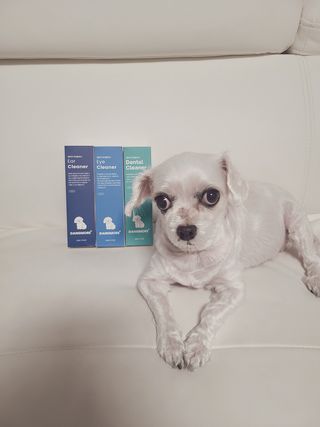 [댕모어 클리너 3종] 아이클리너 / 이어클리너 / 덴탈클리너 3종 세트 (120ml) — 5점을 준 리뷰어가 2023년 8월 올린 사용 사진