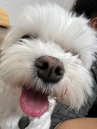 정은a님이 올린 리뷰 사진 3