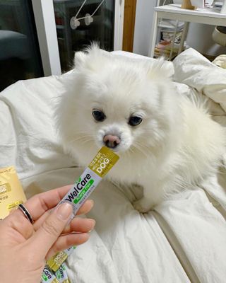 은지공주님이 올린 리뷰 사진 3