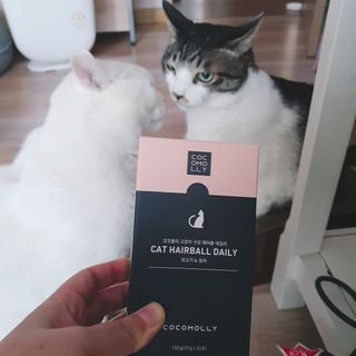 코코몰리 고양이 구강• 헤어볼 데일리 /신장• 요로 데일리 — 5점을 준 리뷰어가 2021년 1월 올린 사용 사진