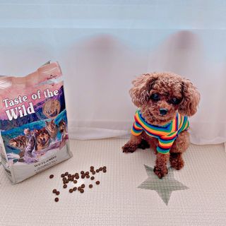 예이님이 올린 리뷰 사진 1