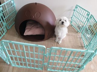 제이님이 올린 리뷰 사진 1