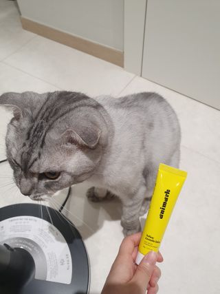 에디터보나님이 올린 리뷰 사진 1