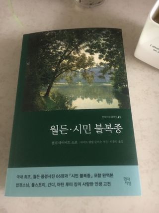 케이트25님이 올린 리뷰 사진 2