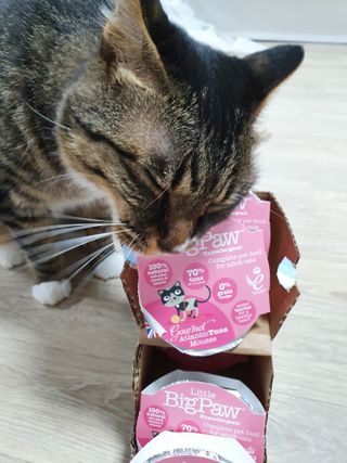 오드리고딩님이 올린 리뷰 사진 4