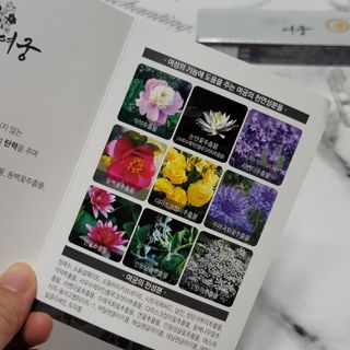 벨리타님이 올린 리뷰 사진 4