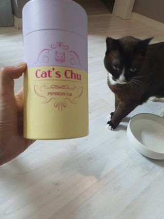쮸동비님이 올린 리뷰 사진 1