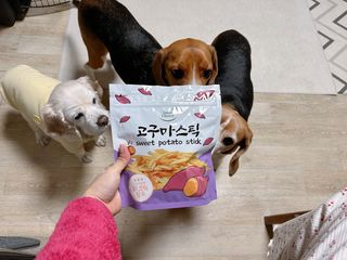 cobemom님이 올린 리뷰 사진 4