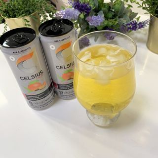 셀시어스 오리지널 325ml 에너지 비타민 피트니스 드링크(24can) 다이어트 음료 — 4점을 준 리뷰어가 2022년 5월 올린 사용 사진