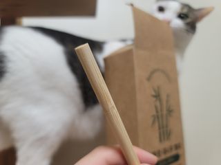 라일리님이 올린 리뷰 사진 4