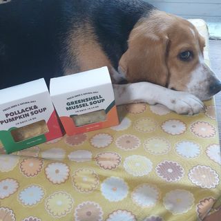 beaglelove님이 올린 리뷰 사진 1