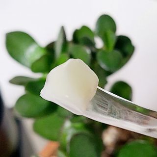 JjKwon님이 올린 리뷰 사진 2