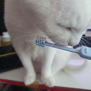 해초님이 올린 리뷰 사진 2