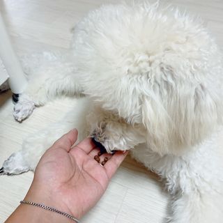 ◾️짱이◾️님이 올린 리뷰 사진 3
