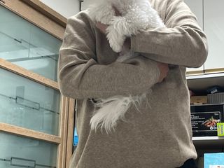 210에디트 부드러운 PBT 라운드 도톰니트 — 5점을 준 리뷰어가 2023년 1월 올린 사용 사진