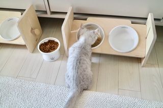 시나몬님이 올린 리뷰 사진 3