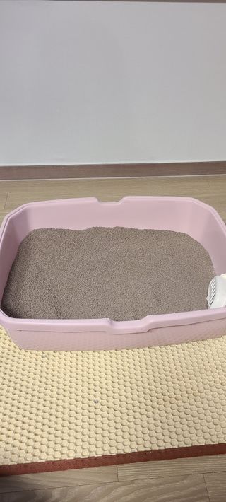 논지님이 올린 리뷰 사진 2
