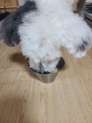 주디님이 올린 리뷰 사진 3